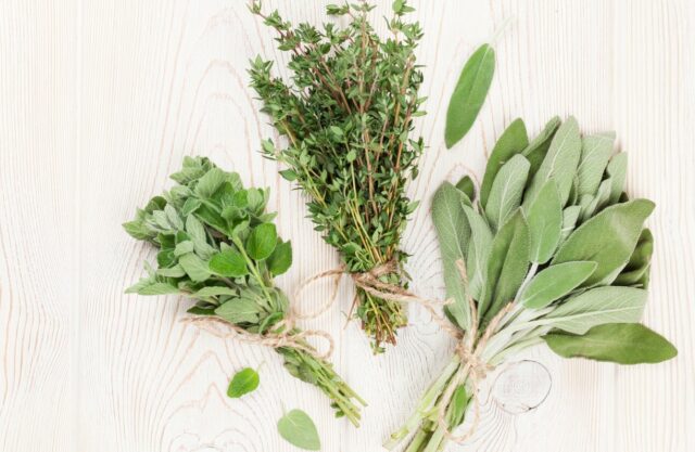 Everything You Need to Know About the Herbs & Their Usage - Atlanta ...