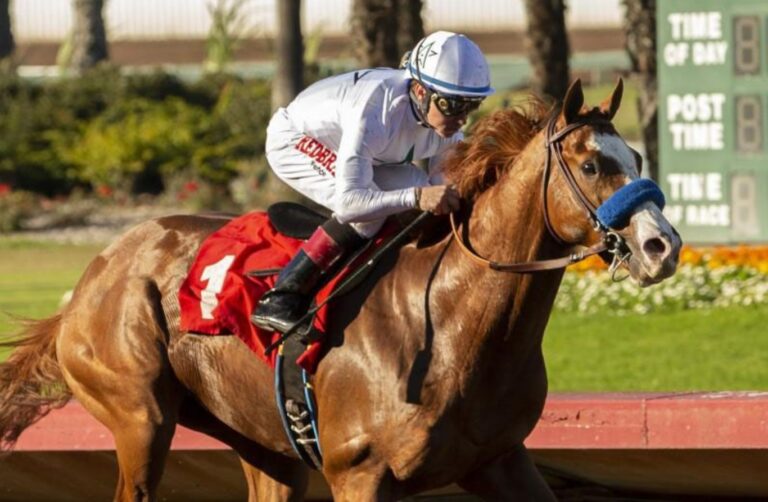 Breeders Cup 2024 Contenders List Gillan Carolina